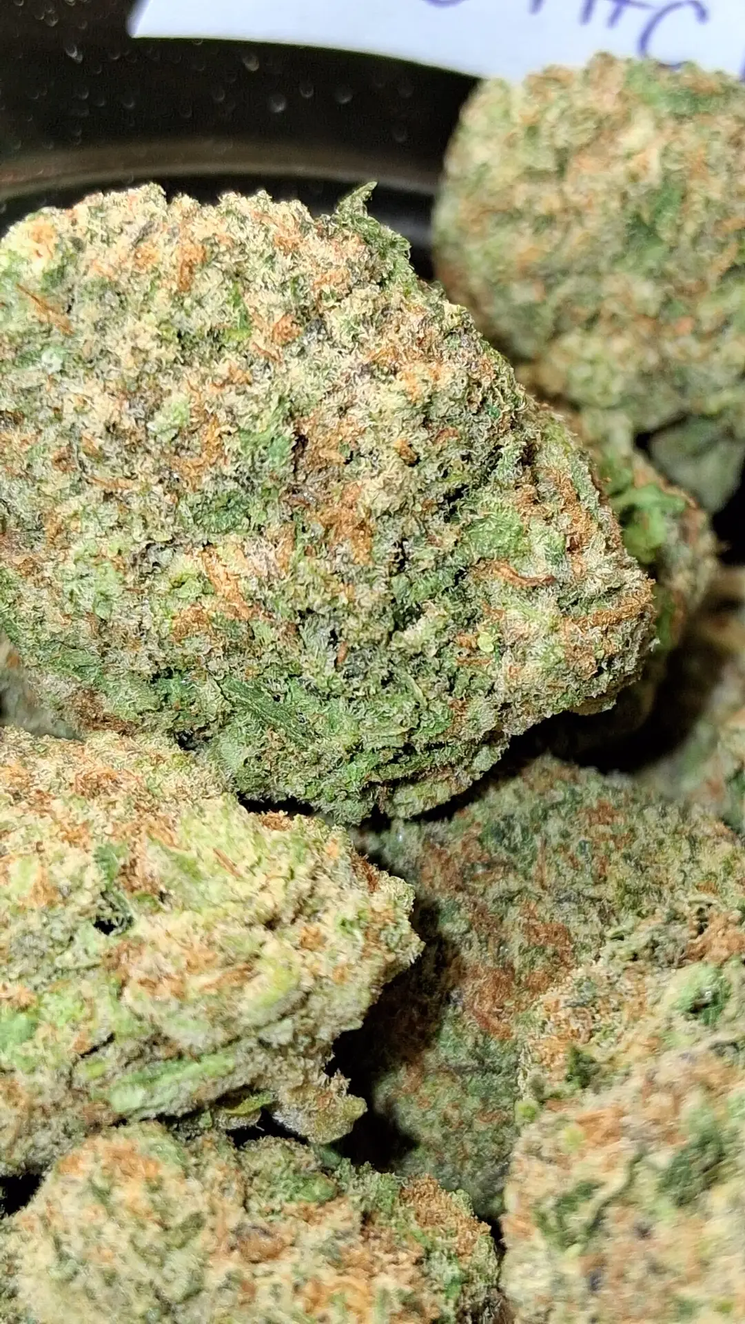 (28 G) Jimi Hendrix (Sativa) - Image 2