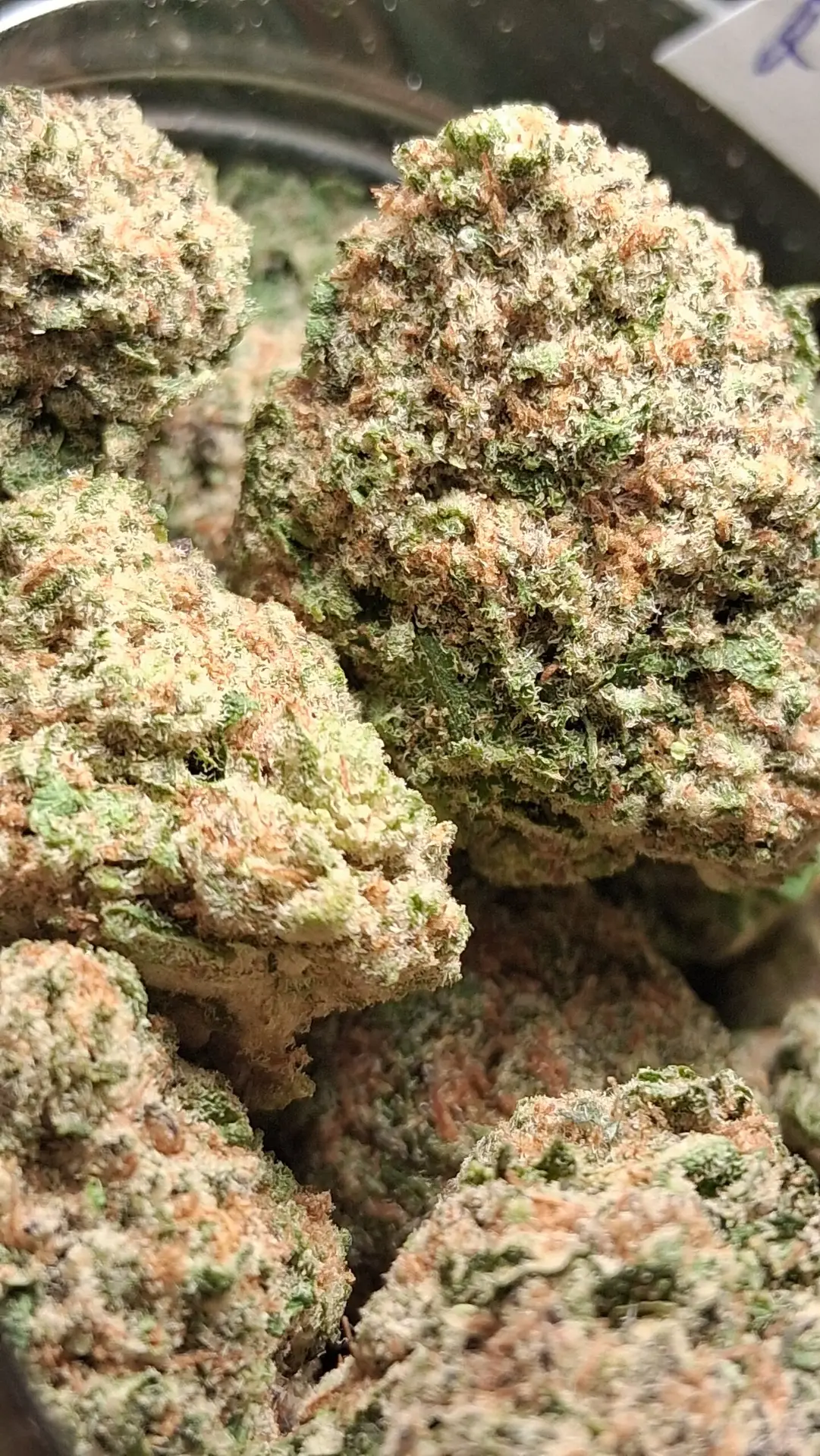 (28 G) Jimi Hendrix (Sativa) - Image 3