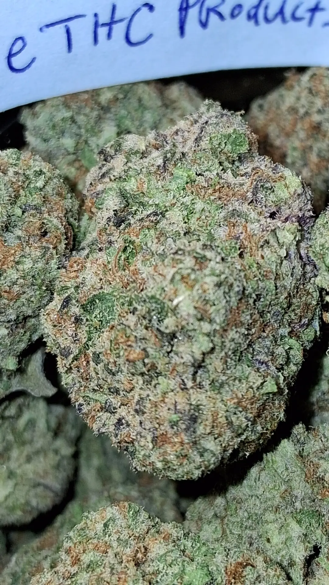 (28 G) Jimi Hendrix (Sativa)